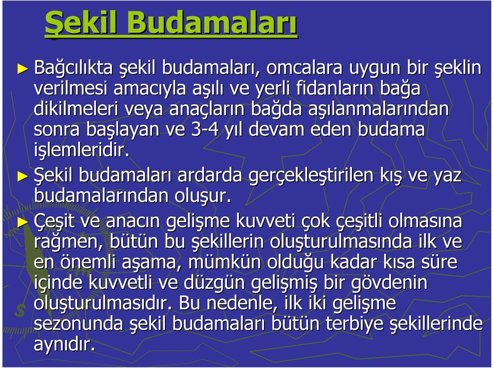 Çeşit ve anacın n gelişme kuvveti çok çeşitli olmasına rağmen, bütün b n bu şekillerin oluşturulmas turulmasında ilk ve en önemli aşama, a ama, mümkm mkün n olduğu u kadar kısa k