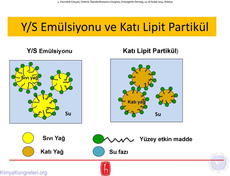 Partikül) Sıvı yağ Katı yağ Su Su