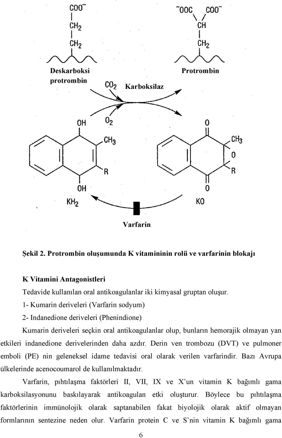 1- Kumarin deriveleri (Varfarin sodyum) 2- Indanedione deriveleri (Phenindione) Kumarin deriveleri seçkin oral antikoagulanlar olup, bunların hemorajik olmayan yan etkileri indanedione derivelerinden