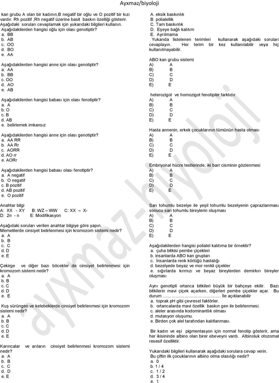 A B c. OO d. AO e. AB Aşağıdakilerden hangisi babası için olası fenotiptir? b. O c. B d. AB e. belirlemek imkansız Aşağıdakilerden hangisi anne için olası genotiptir? A RR b. AA Rr c. AORR d. AO rr e.