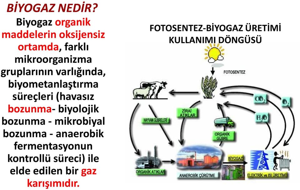 gruplarının varlığında, biyometanlaştırma süreçleri (havasız bozunma- biyolojik