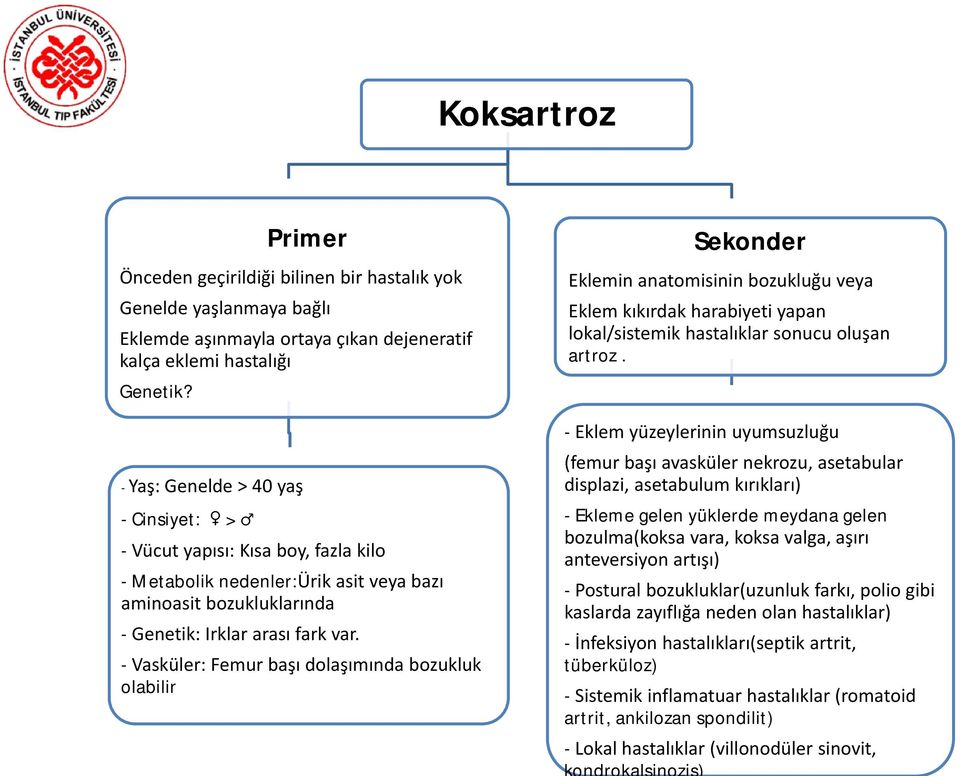 - Vasküler: Femur başı dolaşımında bozukluk olabilir Sekonder Eklemin anatomisinin bozukluğu veya Eklem kıkırdak harabiyeti yapan lokal/sistemik hastalıklar sonucu oluşan artroz.