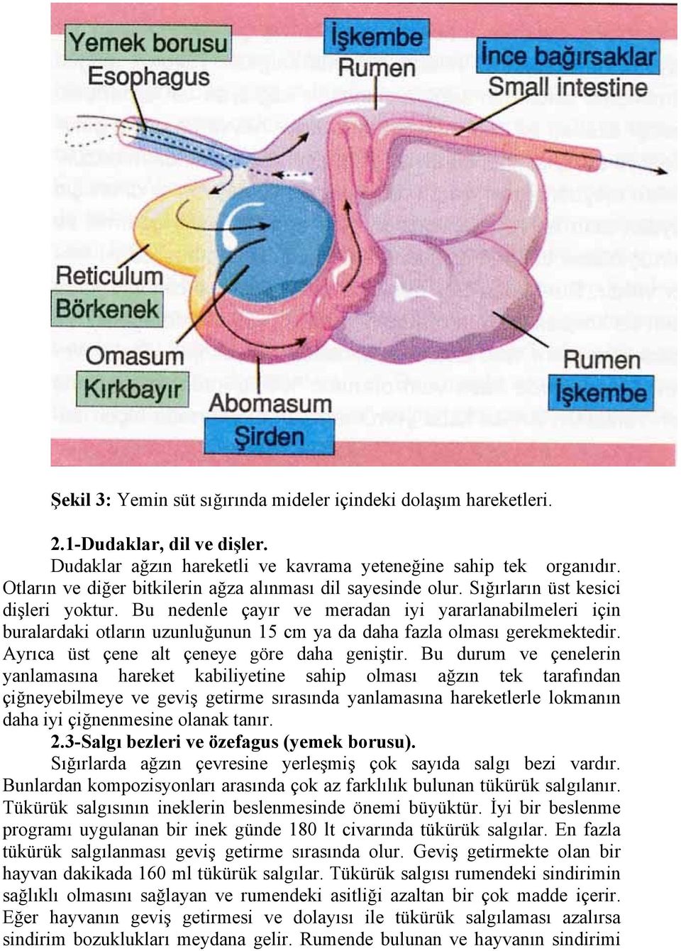 Bu nedenle çayır ve meradan iyi yararlanabilmeleri için buralardaki otların uzunluğunun 15 cm ya da daha fazla olması gerekmektedir. Ayrıca üst çene alt çeneye göre daha geniştir.