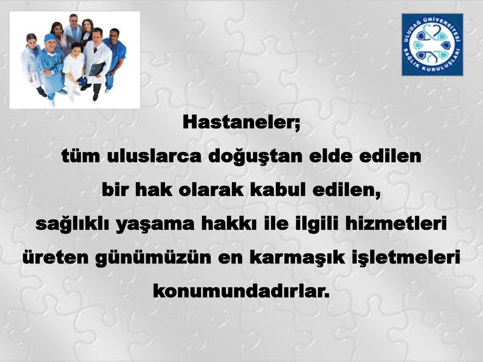 yaşama hakkı ile ilgili hizmetleri üreten