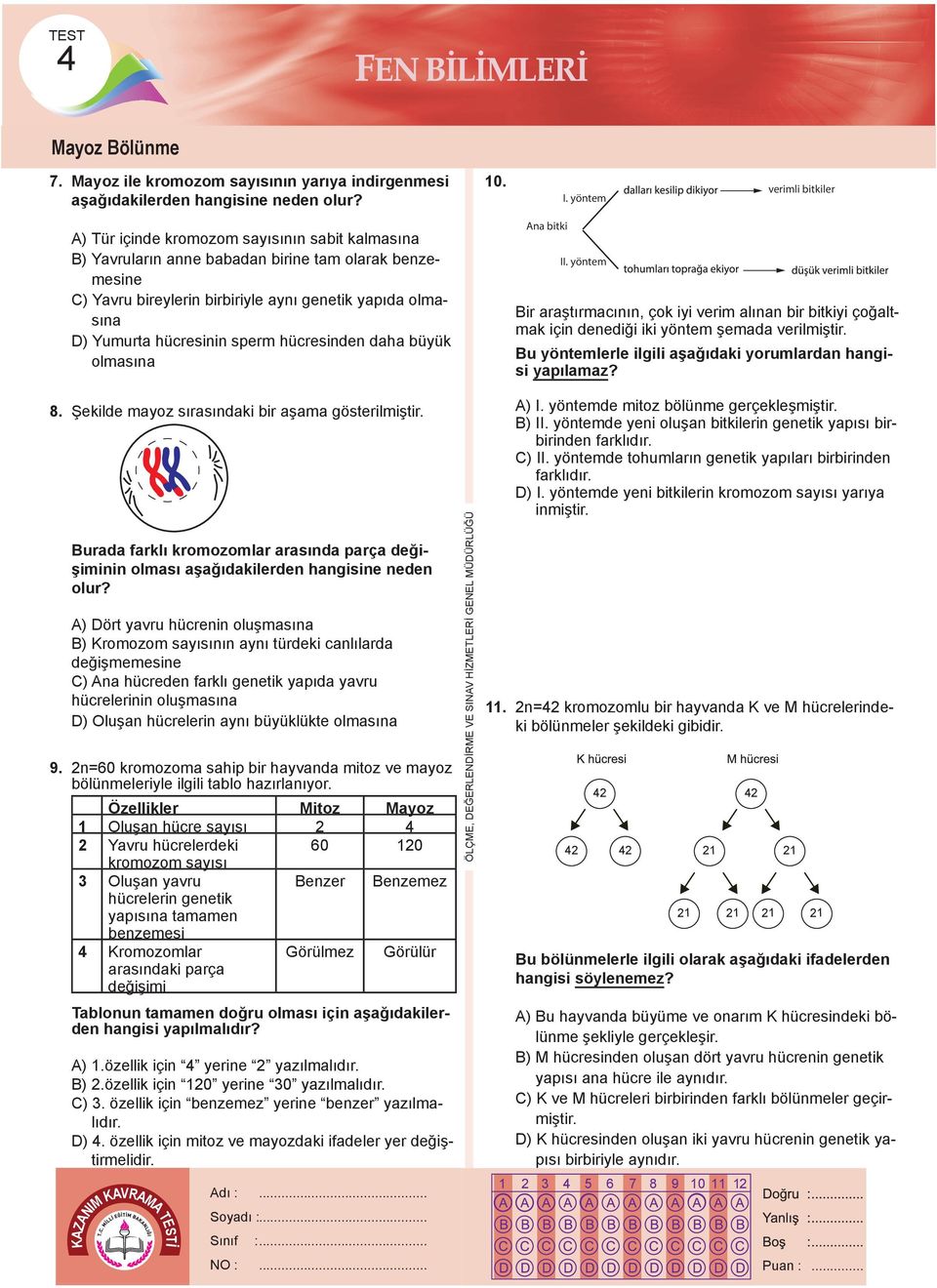 Yumurta hücresinin sperm hücresinden daha büyük olmasına 8. Şekilde mayoz sırasındaki bir aşama gösterilmiştir.