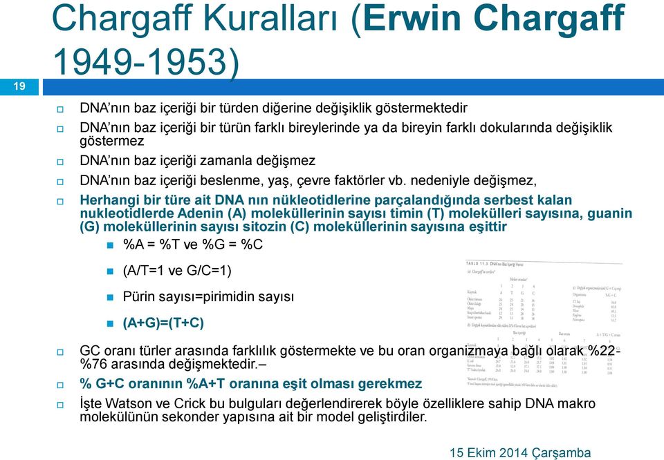 nedeniyle değişmez, Herhangi bir türe ait DNA nın nükleotidlerine parçalandığında serbest kalan nukleotidlerde Adenin (A) moleküllerinin sayısı timin (T) molekülleri sayısına, guanin (G)