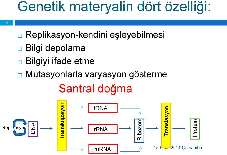 Bilgi depolama Bilgiyi ifade etme Mutasyonlarla varyasyon