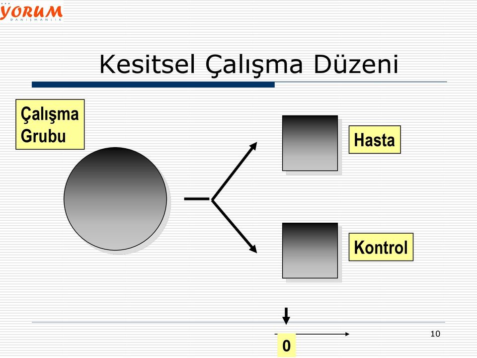 Düzeni  Grubu