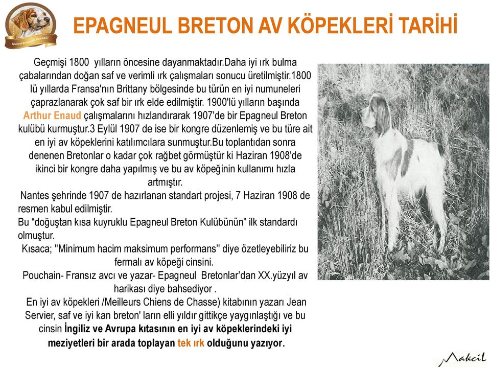 1900'lü yılların başında Arthur Enaud çalışmalarını hızlandırarak 1907'de bir Epagneul Breton kulübü kurmuştur.