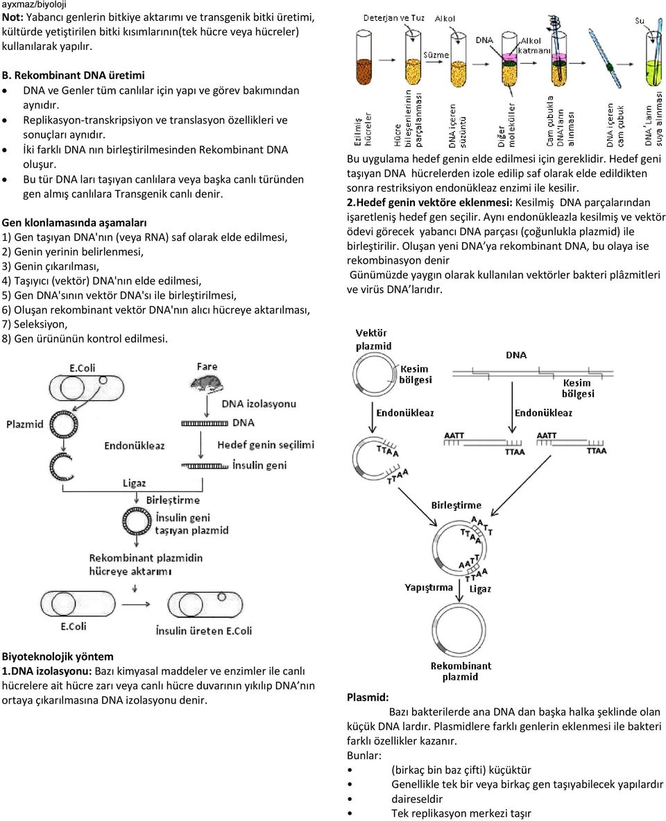 İki farklı DNA nın birleştirilmesinden Rekombinant DNA oluşur. Bu tür DNA ları taşıyan canlılara veya başka canlı türünden gen almış canlılara Transgenik canlı denir.