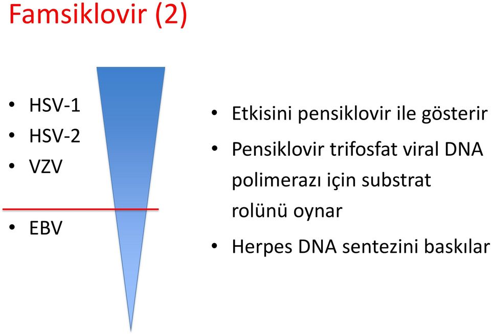Pensiklovir trifosfat viral DNA polimerazı