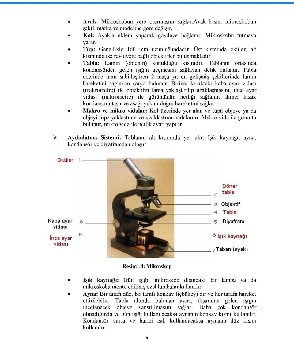 Tablanın ortasında kondansörden gelen ıģığın geçmesini sağlayan delik bulunur. Tabla üzerinde lamı sabitleģtiren 2 maģa ya da geliģmiģ Ģekillerinde lamın hareketini sağlayan Ģaryo bulunur.