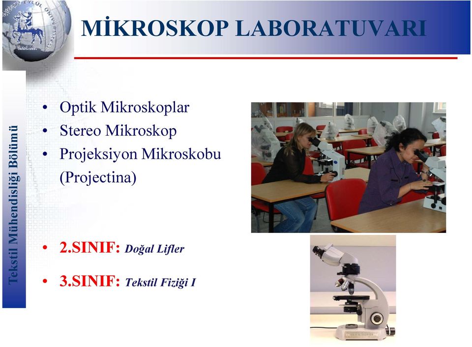 Projeksiyon Mikroskobu (Projectina)
