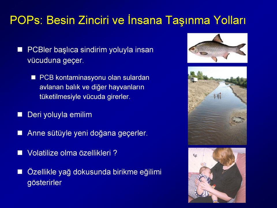 PCB kontaminasyonu olan sulardan avlanan balık ve diğer hayvanların tüketilmesiyle