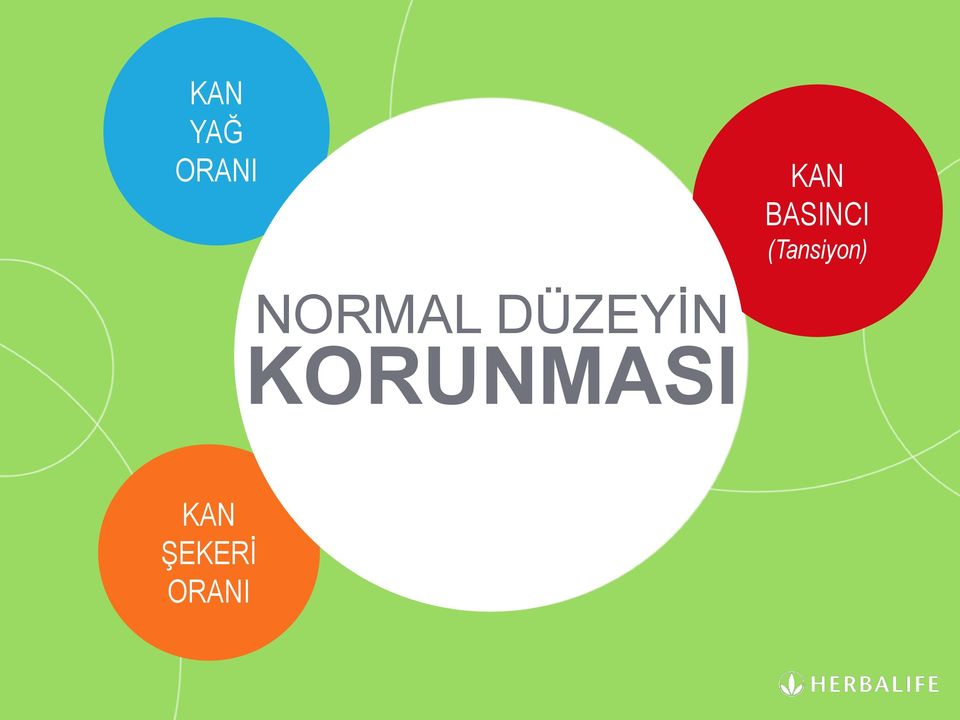 NORMAL DÜZEYİN