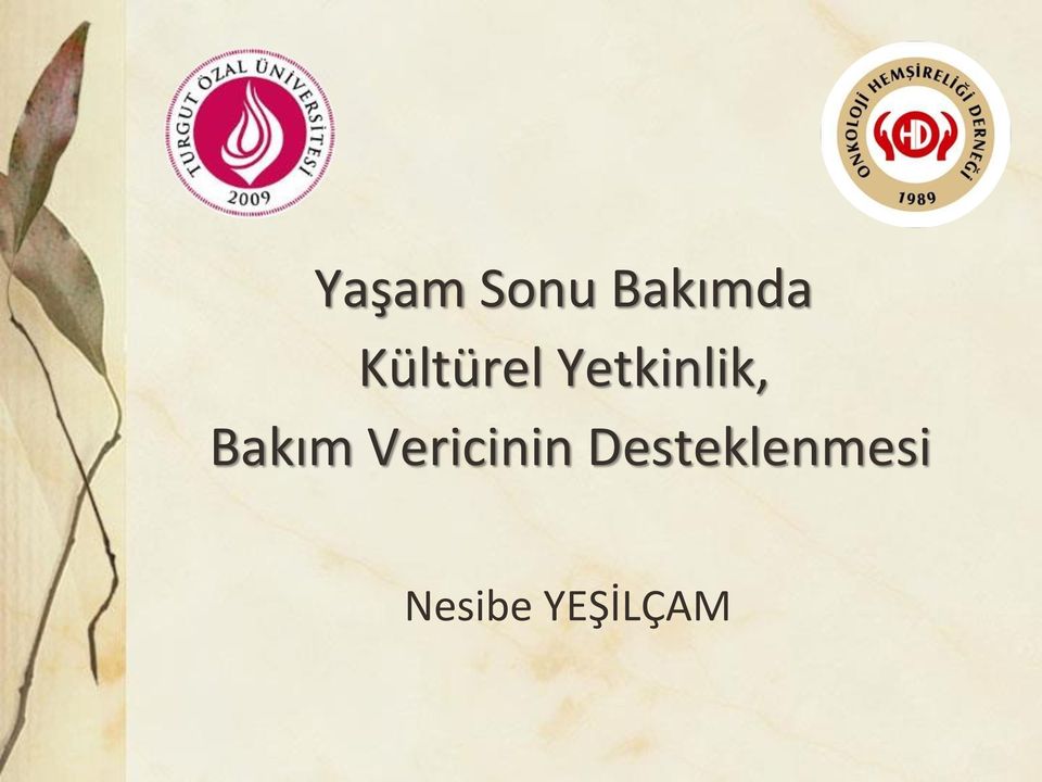 Bakım Vericinin