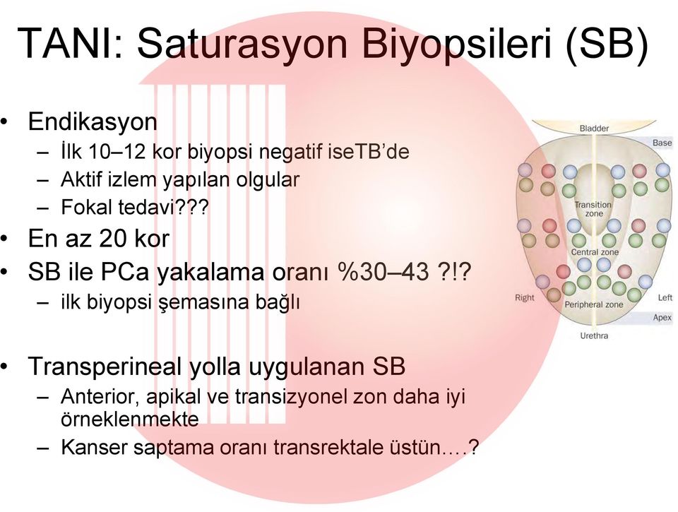 ?? En az 20 kor SB ile PCa yakalama oranı %30 43?