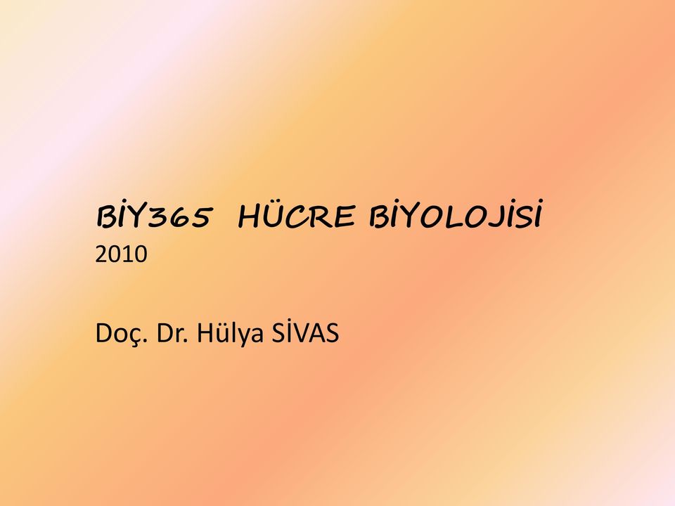 2010 Doç. Dr.