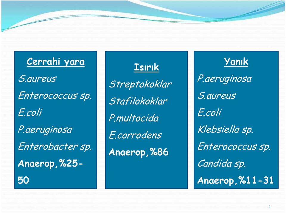 Anaerop,%25-50 Isırık Streptokoklar Stafilokoklar P.multocida E.