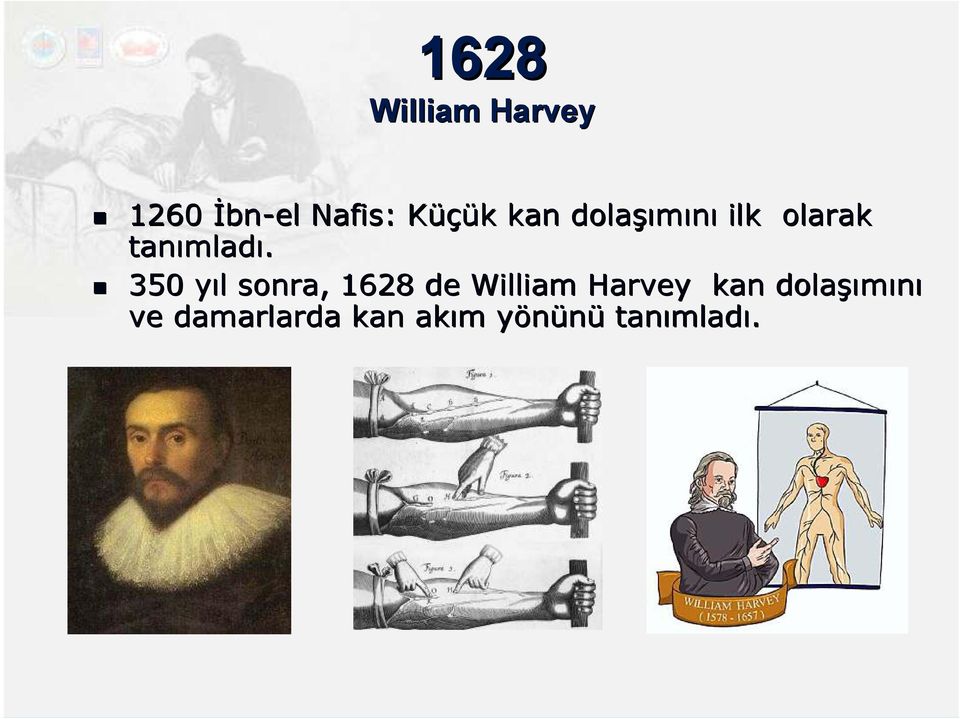 350 yıl y l sonra, 1628 de William Harvey kan