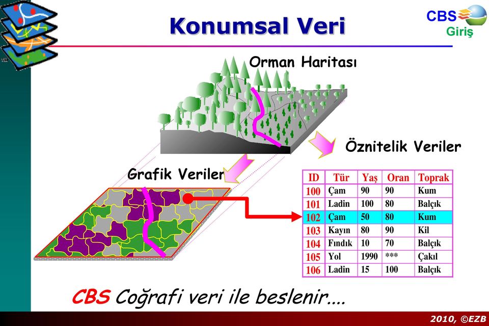 .. Öznitelik Veriler ID Tür Yaş Oran Toprak 100 Çam 90 90 Kum 101