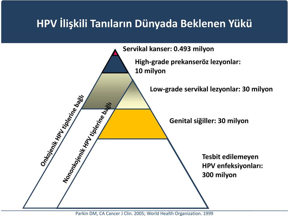 lezyonlar: 30 milyon Genital siğiller: 30 milyon Tesbit edilemeyen HPV