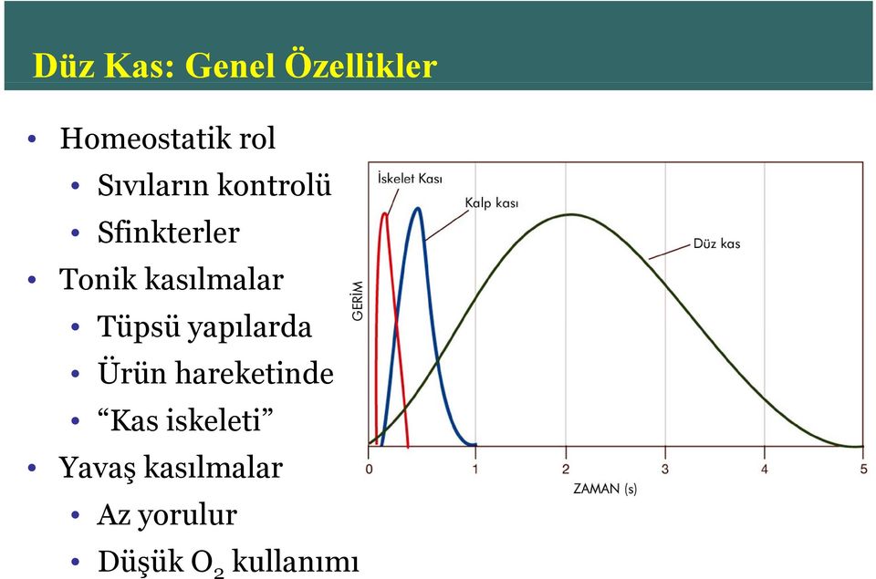 kasılmalar Tüpsü yapılarda Ürün hareketinde