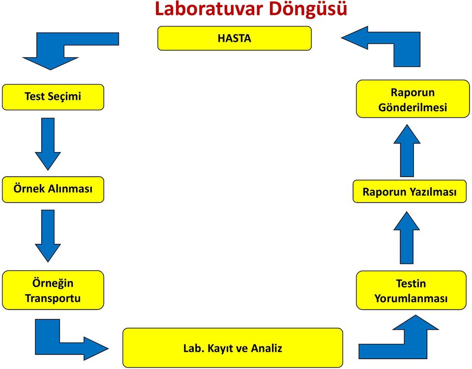 Raporun Yazılması Örneğin Transportu