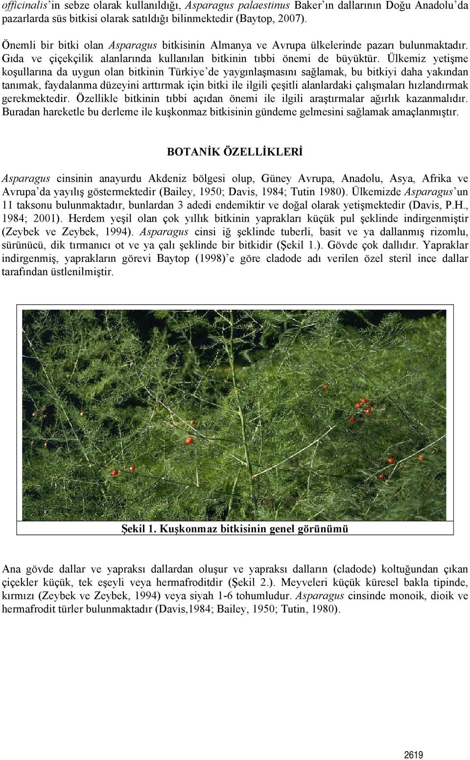 Ülkemiz yetişme koşullarına da uygun olan bitkinin Türkiye de yaygınlaşmasını sağlamak, bu bitkiyi daha yakından tanımak, faydalanma düzeyini arttırmak için bitki ile ilgili çeşitli alanlardaki