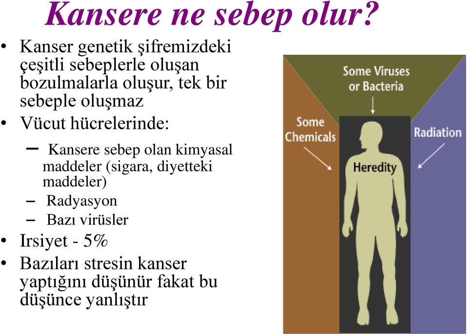 bir sebeple oluşmaz Vücut hücrelerinde: Kansere sebep olan kimyasal maddeler