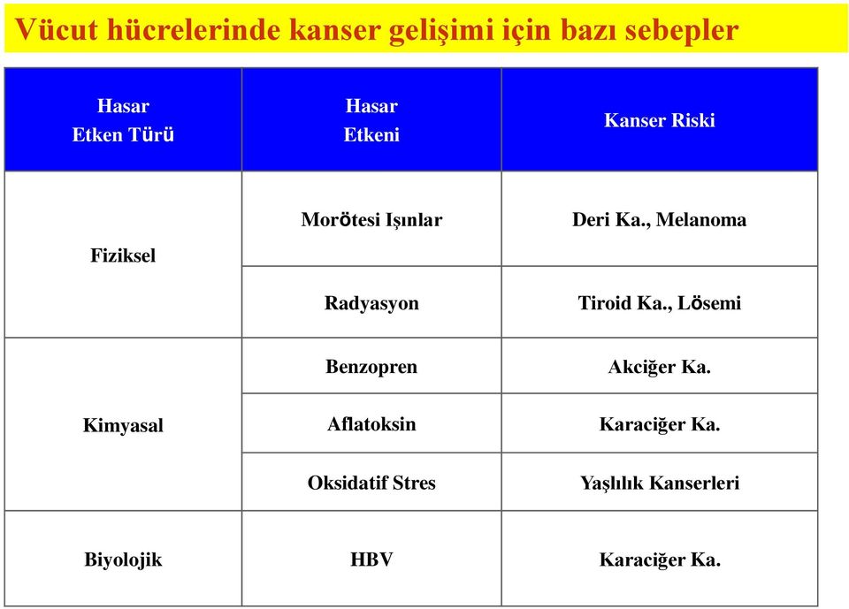 , Melanoma Tiroid Ka., Lösemi Benzopren Akciğer Ka.