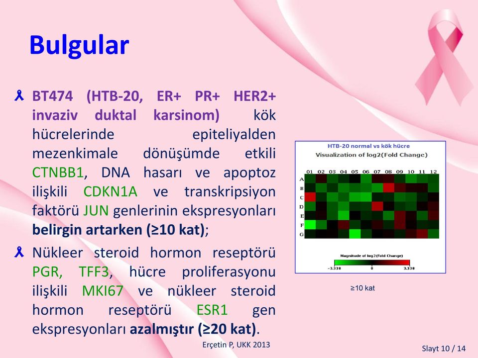 ekspresyonları belirgin artarken ( 10 kat); Nükleer steroid hormon reseptörü PGR, TFF3, hücre proliferasyonu