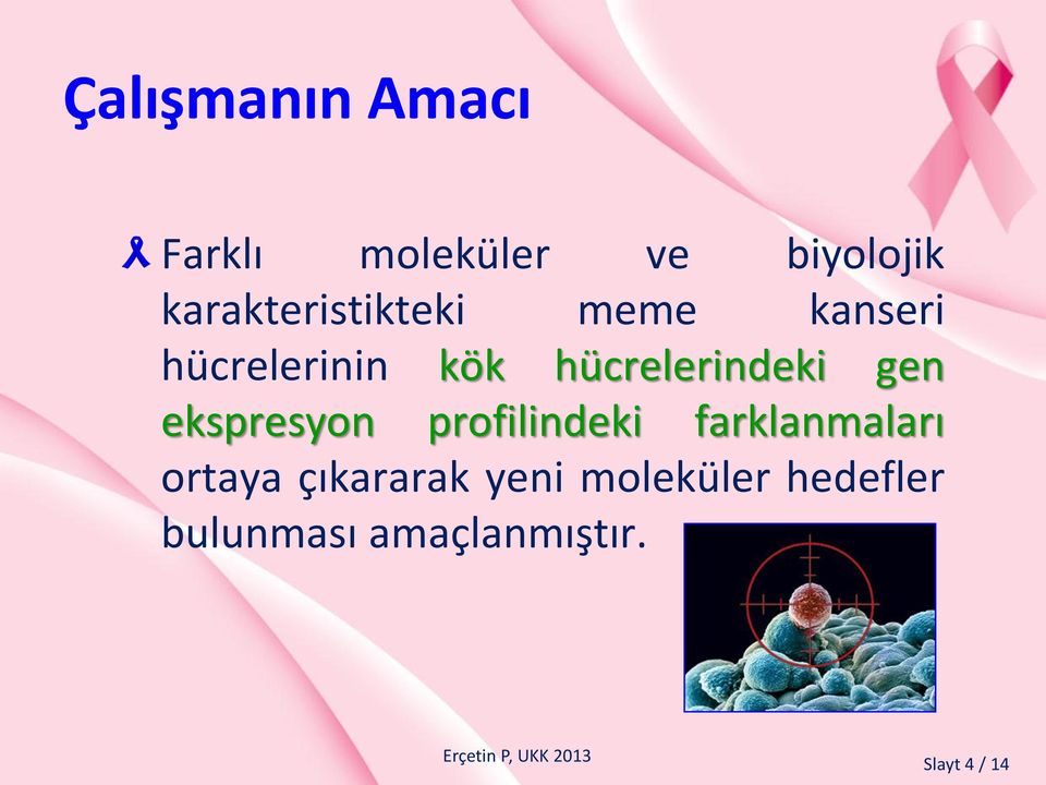 hücrelerindeki gen ekspresyon profilindeki farklanmaları