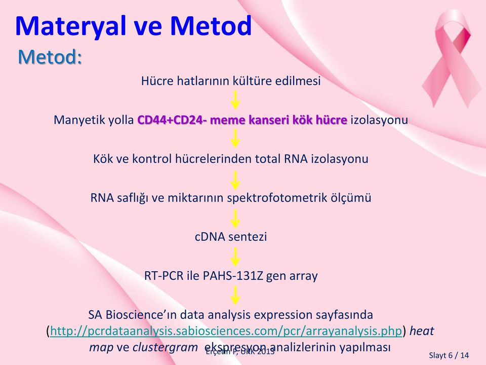 cdna sentezi RT-PCR ile PAHS-131Z gen array SA Bioscience ın data analysis expression sayfasında