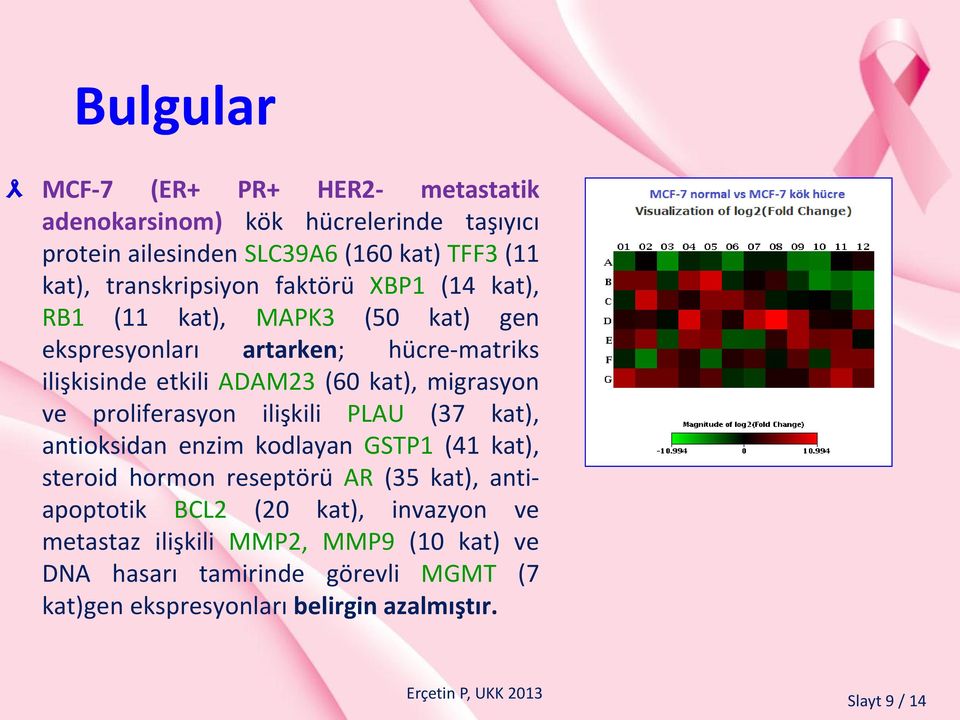 migrasyon ve proliferasyon ilişkili PLAU (37 kat), antioksidan enzim kodlayan GSTP1 (41 kat), steroid hormon reseptörü AR (35 kat), antiapoptotik