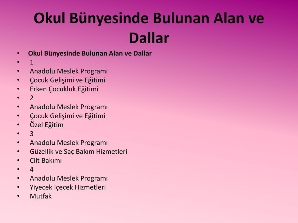 Meslek Programı Çocuk Gelişimi ve Eğitimi Özel Eğitim 3 Anadolu Meslek Programı