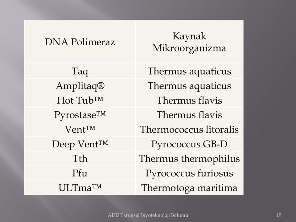 Thermus flavis Thermococcus litoralis Pyrococcus GB-D Thermus thermophilus