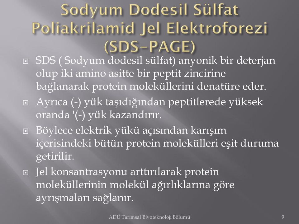 Böylece elektrik yükü açısından karışım içerisindeki bütün protein molekülleri eşit duruma getirilir.