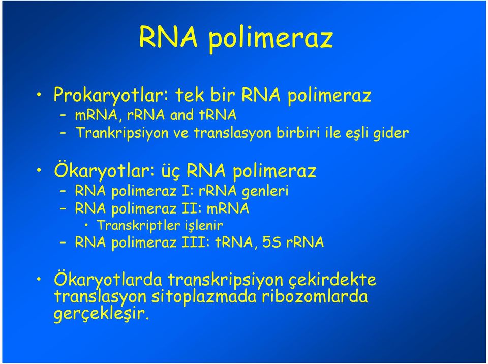 genleri RNA polimeraz II: mrna Transkriptler işlenir RNA polimeraz III: trna, 5S rrna