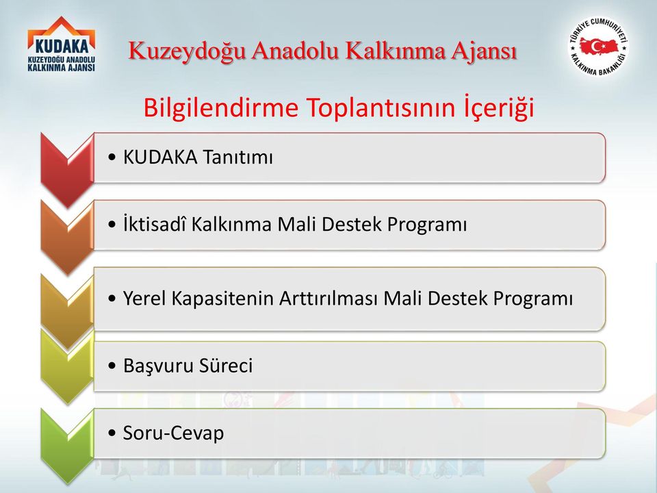 Kalkınma Mali Destek Programı Yerel Kapasitenin