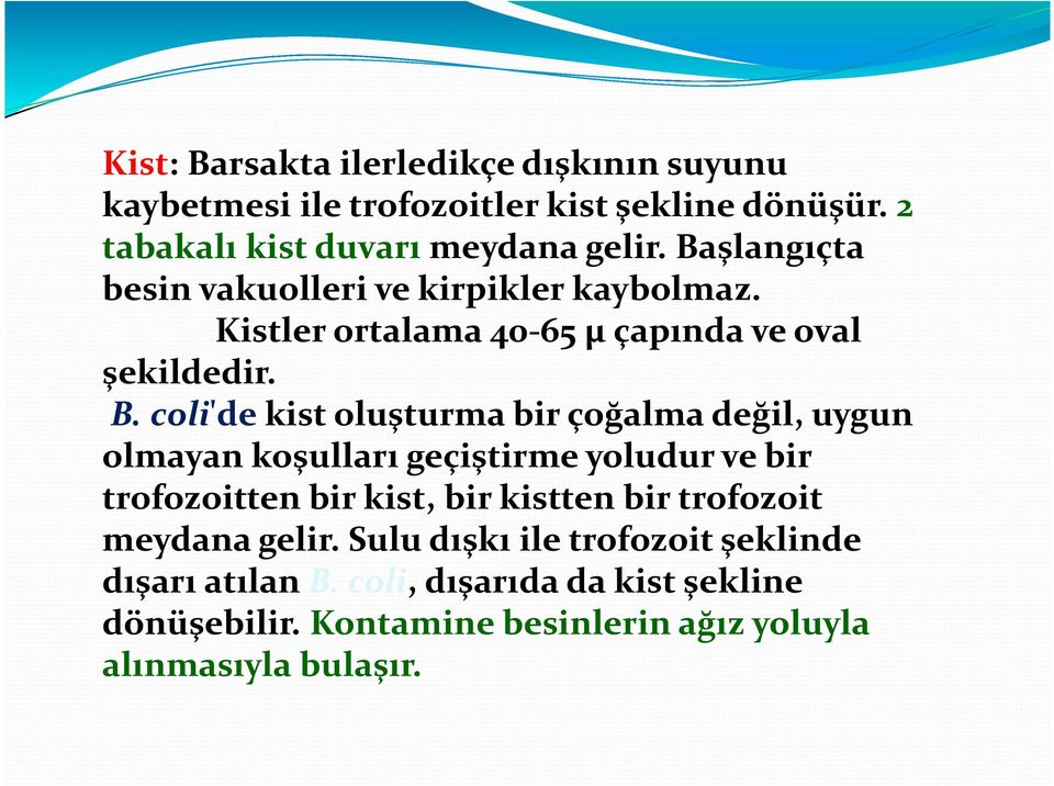 coli'de kist oluşturma bir çoğalma değil, uygun olmayan koşulları geçiştirme yoludur ve bir trofozoitten bir kist, bir kistten bir