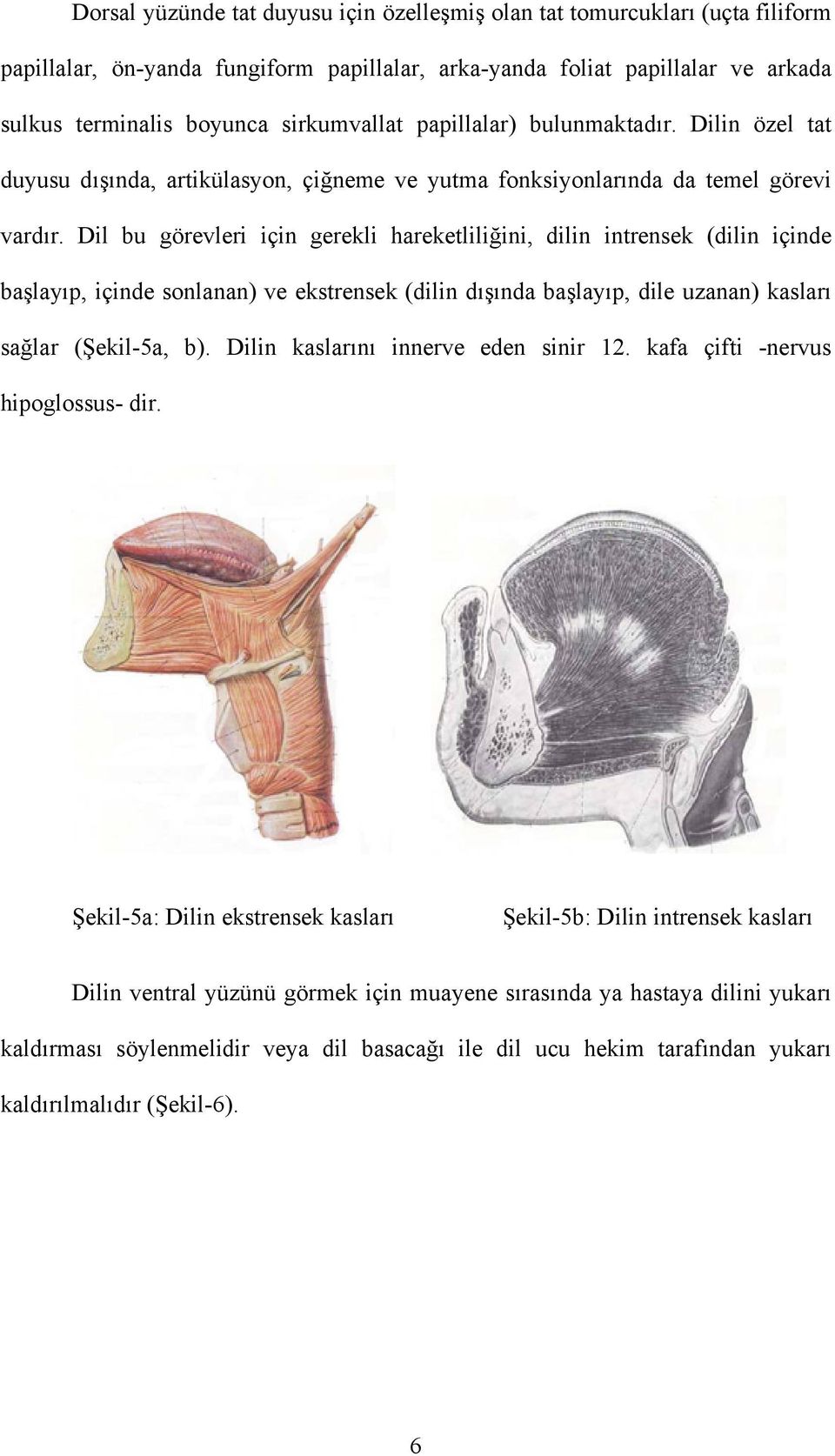 Dil bu görevleri için gerekli hareketliliğini, dilin intrensek (dilin içinde başlayıp, içinde sonlanan) ve ekstrensek (dilin dışında başlayıp, dile uzanan) kasları sağlar (Şekil-5a, b).