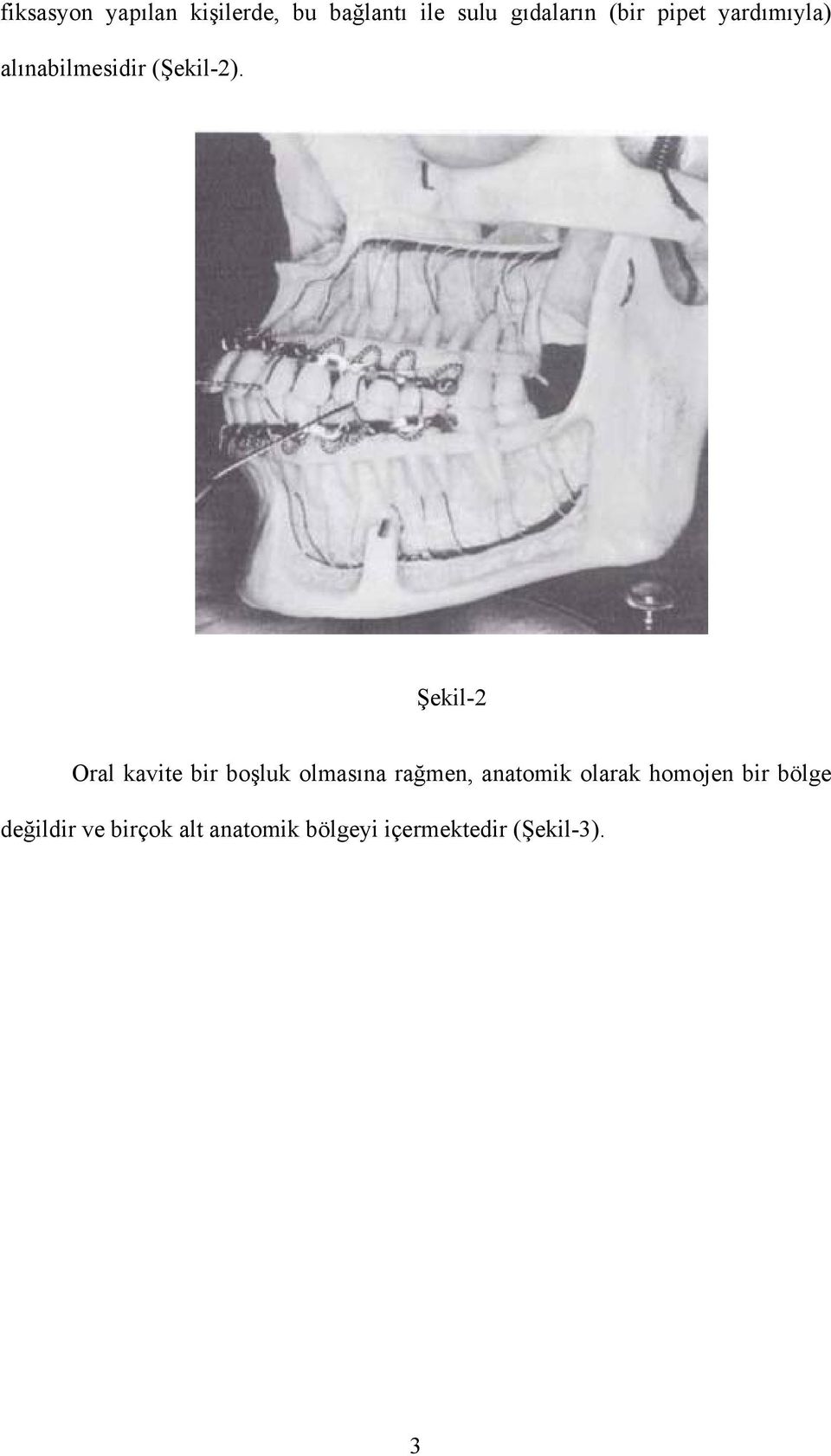 Şekil-2 Oral kavite bir boşluk olmasına rağmen, anatomik olarak