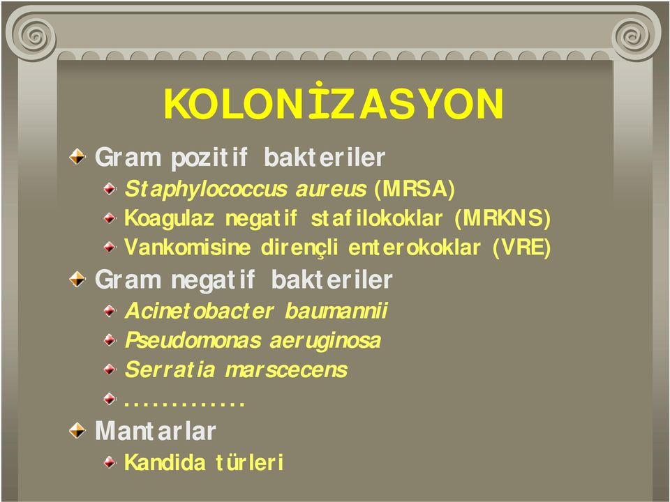 enterokoklar (VRE) Gram negatif bakteriler Acinetobacter