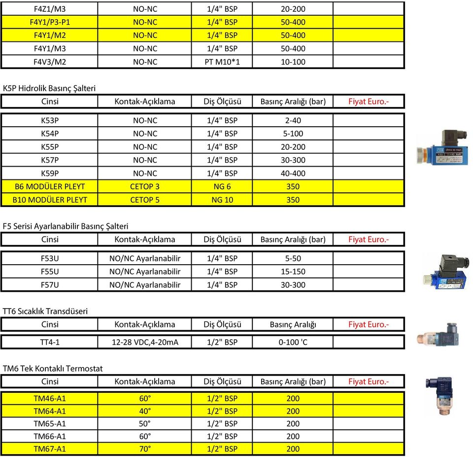 F57U 30- TT4-1 12-28 VDC,4-mA BSP 'C (bar) 60 40 50 60 70 BSP BSP BSP BSP BSP 0 0 0 0 0 F5 Serisi