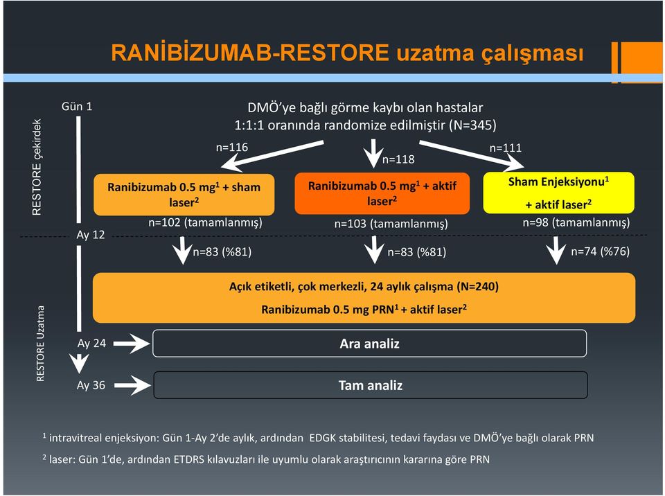 5 mg 1 + aktif laser 2 Sham Enjeksiyonu 1 + aktif laser 2 Ay 12 n=102 (tamamlanmış) n=103 (tamamlanmış) n=98 (tamamlanmış) n=83 (%81) n=83 (%81) n=74 (%76) RESTORE Uzatma Ay 24 Ay