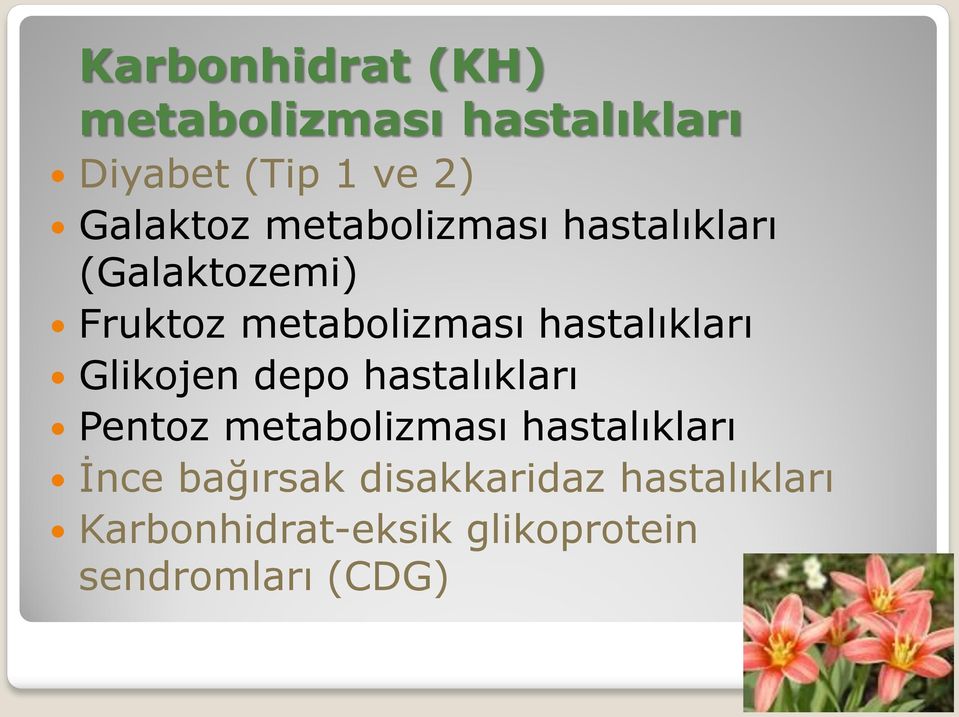 Glikojen depo hastalıkları Pentoz metabolizması hastalıkları İnce bağırsak