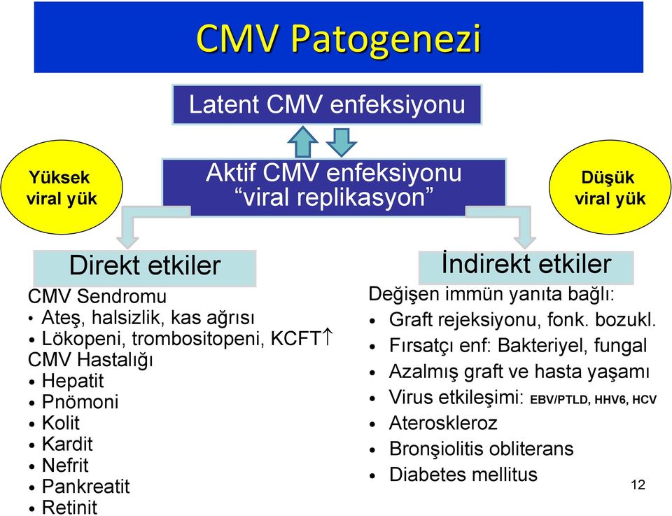 Pankreatit Retinit İndirekt etkiler Değişen immün yanıta bağlı: Graft rejeksiyonu, fonk. bozukl.