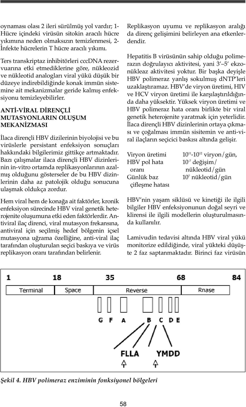 geride kalmış enfeksiyonu temizleyebilirler.