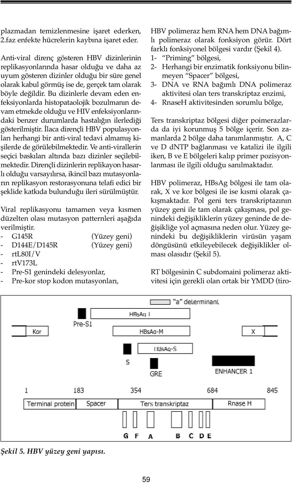 Bu dizinlerle devam eden enfeksiyonlarda histopataolojik bozulmanın devam etmekde olduğu ve HIV enfeksiyonlarındaki benzer durumlarda hastalığın ilerlediği gösterilmiştir.